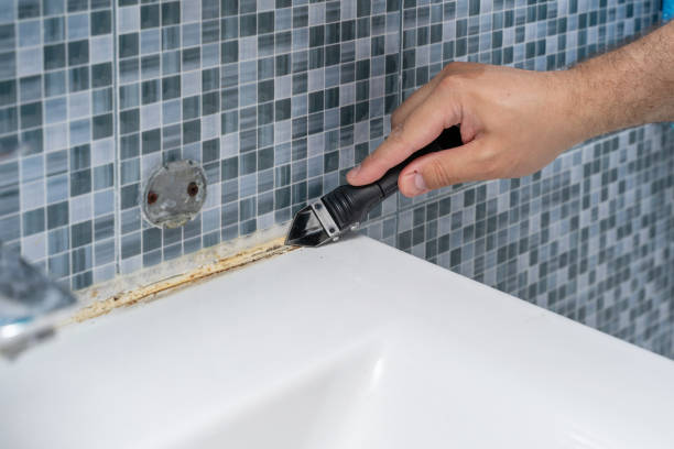 Professional Mold Removal in Oakland City, IN
