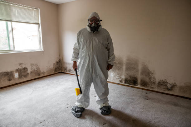 Crawl Space Mold Removal in Oakland City, IN